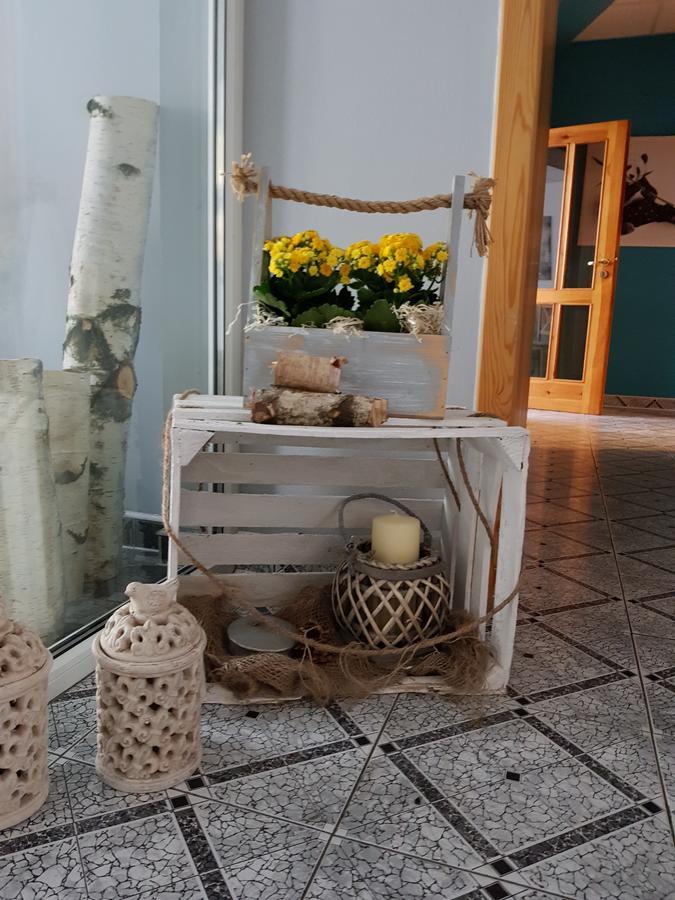 Willa Scandia Duszniki Zdrój Esterno foto